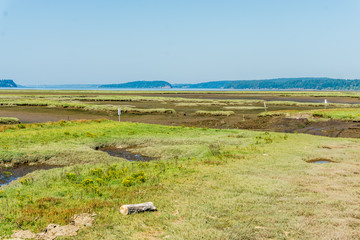 Nisqually Wetlands Grass Mounds 4