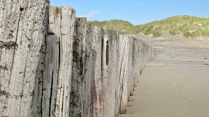 Hölzerne Wellenbrecher am Strand von Ameland, Nordsee