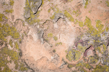 rock texture martian landscape