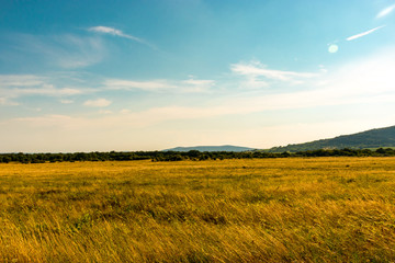Plakat A big calm and beautiful field near to Balaton.