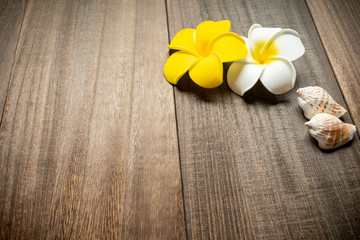 プルメリアとヒトデ