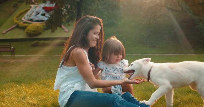 Caucasian cheerful and happy mother and cute daughter playing with a haski dog on the green grass in the park in sunlight.