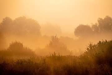 Obraz na płótnie Canvas Morning's golden hour at the riverside