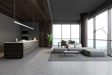 Gray kitchen and living room interior