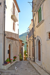 Fototapeta na wymiar Trip to Rivello, a village in the mountains of the Basilicata region, Italy