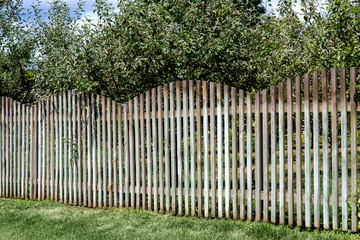 The wooden fence from apple orchard on a sunny summer day, nobody.