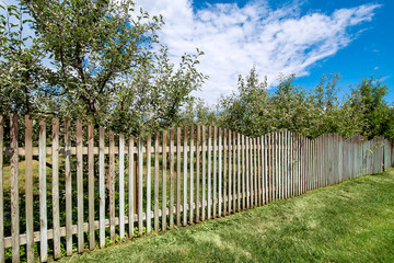 a wooden fence of apple orchard and green lawn on the summer sunny day with clouds on the sky, nobody.