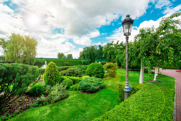 landscape design hedge and different green plants with a lantern with clouds in the sky and sunny glare.