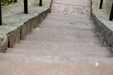 cement staircase goes up the slope in a green forest