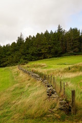 Fototapeta na wymiar Pastoral Farm Pasture in Wales
