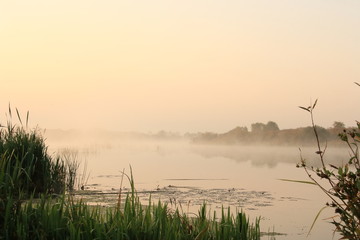 Fototapeta na wymiar Morning fog on the river in the golden rays of the rising sun