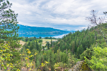 View above Shorts Creek Gorge of ponderosa pine forest, mountains, and Okanagan Lake