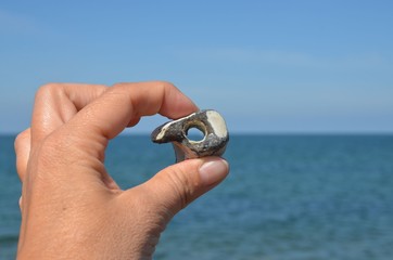 H&uuml;hnergott in der Hand vor dem Horizont