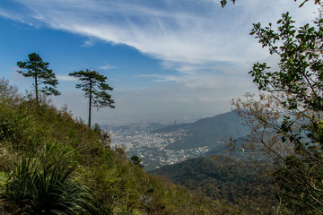 PAISAJE DE MONTAÑA