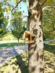 bird feeder and squirrels in a city park