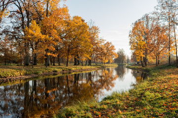 Autumm park in autumm with trees full of orange and yellow leaves