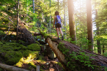 Fototapeta premium Adventurous Woman hiking on a fallen tree in a beautiful green forest during a sunny summer evening. Taken in Squamish, North of Vancouver, British Columbia, Canada.