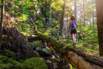 Naklejka premium Adventurous Woman hiking on a fallen tree in a beautiful green forest during a sunny summer evening. Taken in Squamish, North of Vancouver, British Columbia, Canada.