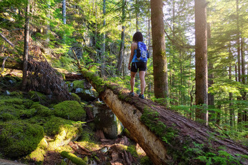 Naklejka na ściany i meble Adventurous Woman hiking on a fallen tree in a beautiful green forest during a sunny summer evening. Taken in Squamish, North of Vancouver, British Columbia, Canada.