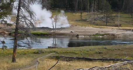 Yellowstone National Park beautiful forest river waterfall. Geothermal ecosystem feature. Biology geography and ecology. Millions of tourist and visitors each year. 