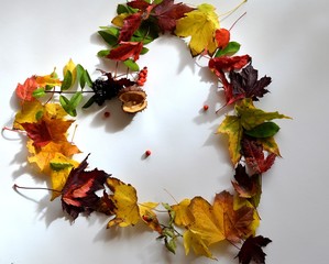 Jesień, grzyby, liście i żołędzie © Pio Si