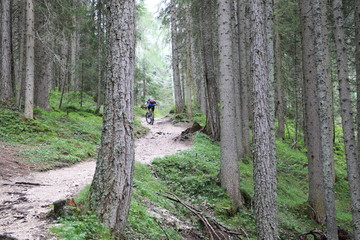 Radfahren im Wald