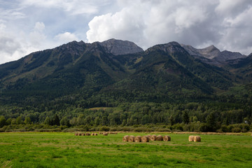 Fototapeta na wymiar Bales of Hay in a farm field with Canadian Rocky Mountains in the Background during a vibrant sunny summer day. Taken in Kootenay near Fernie, British Columbia, Canada.