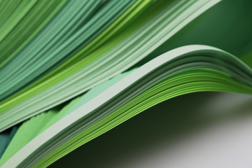 Abstract gradient green color wave curl strip paper background. Template for prints, posters, cards.