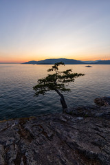 Beautiful View of Canadian Landscape on the Pacific Ocean Coast during a colorful summer sunset. Taken in Lighthouse Park, West Vancouver, British Columbia, Canada.