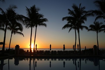 Obraz premium Golden Sun Rises over a Pool Deck Flanked by Palm Trees Above against a Clear Blue Sky in Florida