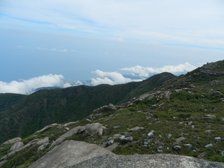 Playa paisaje naturaleza cielo parque y animales