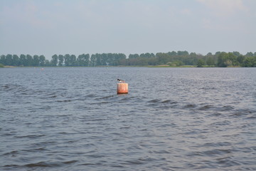 Oystercatchers stand on buoys in a lake