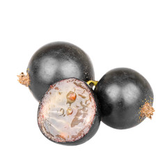 Cut black currants on a white background
