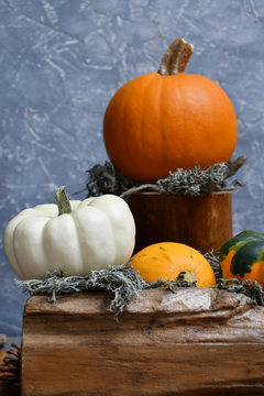 An image of an autumn composition: three coloured ornamental pumpkins and moss on a piece of wood, an orange pumpkin and moss on another piece of wood on a background of a gray-blue ornamental surface