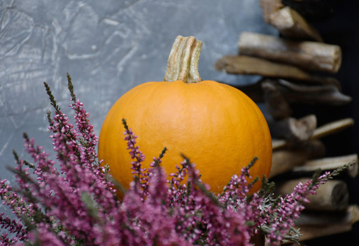 An image of an autumn composition: an ornamental orange pumpkin and moss, a pink heather nearby on a background of a gray ornamental surface and a wooden ornamental element