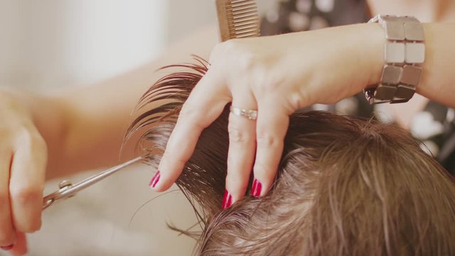 Hairdresser cutting by scissors and rumple woman's hair for head-dress in hairdressing beauty saloon, closeup. Barber hands trimming lady's head taking lock in fingers for style haircut in barbershop