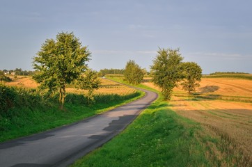 Beautiful summer afternoon landscape. Asphalt road in a rural scenery.