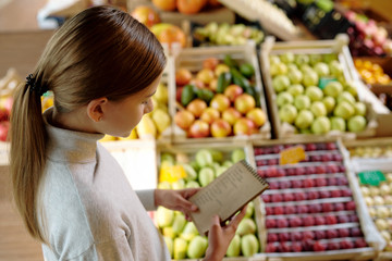 Pretty youthful girl in casual pullover looking through shopping list in notepad