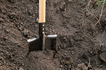 Steel bayonet shovel with a wooden handle. Garden tool.