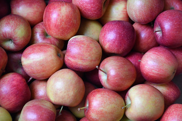 An image of Alexander Apples with the combination of red and yellow colors as a background