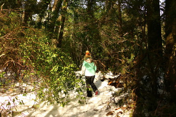 persona mujer de espaldas, caminando sobre la nieve en medio de un  bosque nevado