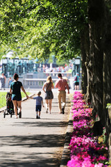 a stroll in the park