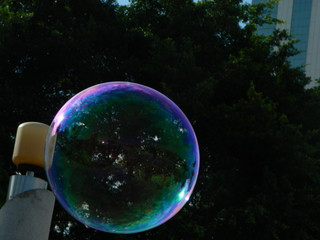 fotos paisaje naturaleza animales y ciudad