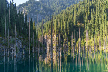 Kaindy lake - mountain lake in Kazakhstan