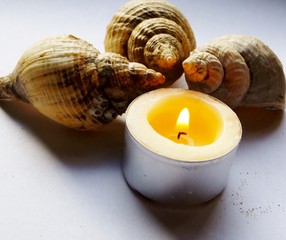 Seashells around a lightning candle
