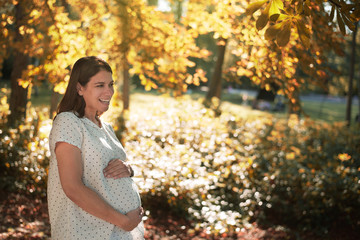 pregnant woman standing in a beautiful park at sunset