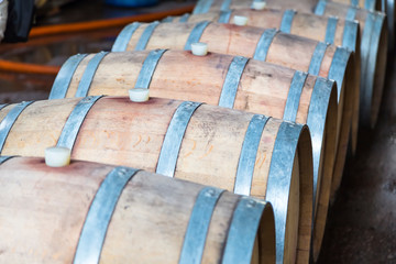 Oak Barrels with Red Wine