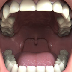 Mouth