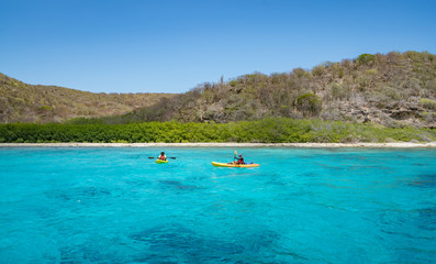 Fototapeta na wymiar Swimming along the coast of Curacao 