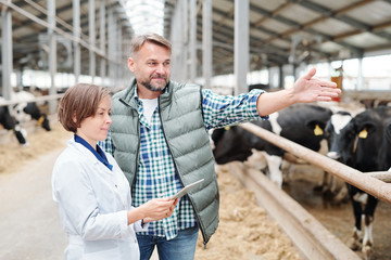 Confident head of modern farmhouse communicating with his female colleague